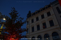 fotografie-24