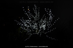 fotografie-82