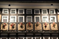 fotografie-5