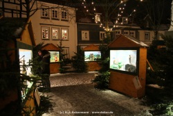 fotografie-171