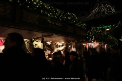 fotografie-146