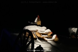 fotografie-120