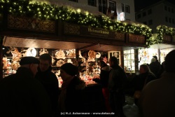fotografie-17
