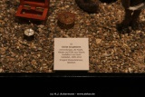 fotografie-7