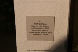 fotografie-71