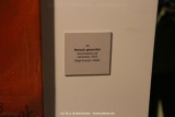 fotografie-118