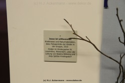 fotografie-32