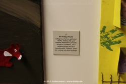 fotografie-73