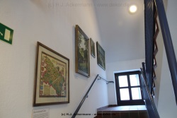 fotografie-8