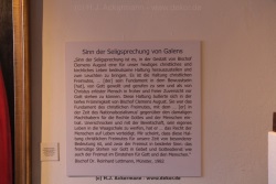 fotografie-184