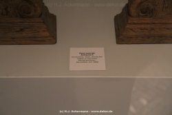 fotografie-118