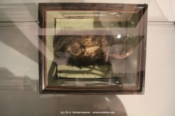 fotografie-71