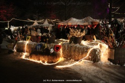 fotografie-26