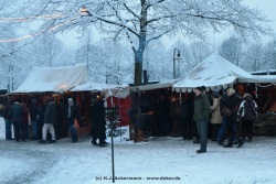 fotografie-179