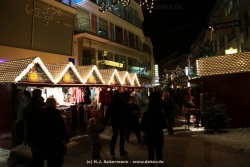 fotografie-16
