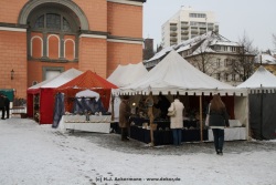 fotografie-19