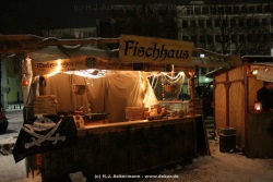fotografie-15
