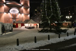 fotografie-37