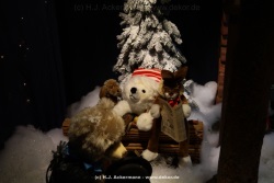 fotografie-40