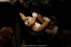 fotografie-47