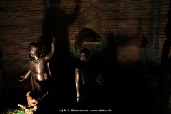 fotografie-15