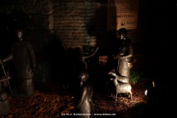 fotografie-18