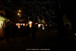 fotografie-9