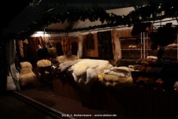 fotografie-28