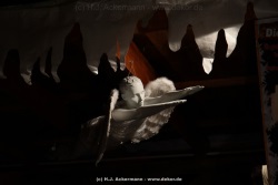 fotografie-56