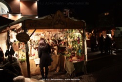 fotografie-15