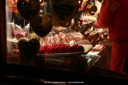 fotografie-13