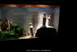 fotografie-38