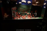 fotografie-41