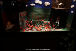 fotografie-41