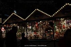 fotografie-4