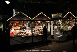 fotografie-6