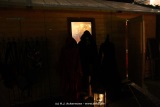 fotografie-7