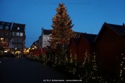 fotografie-11