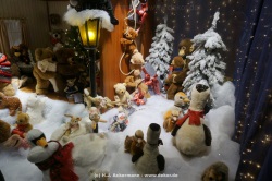 fotografie-5
