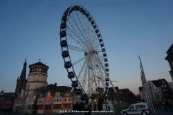 fotografie-9