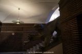 fotografie-1