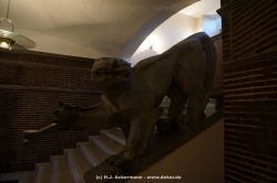 fotografie-21