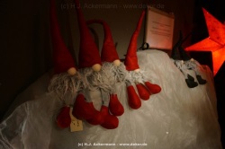 fotografie-11