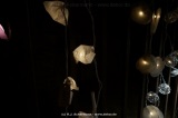 fotografie-21