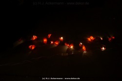 fotografie-22