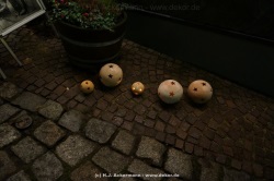 fotografie-46