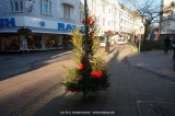 fotografie-1