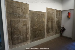 fotografie-26