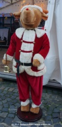 fotografie-47