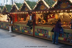fotografie-9